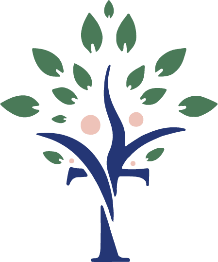 Visión Trascendental